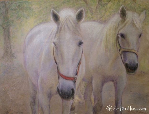 色粉画展 2014上海粉画年度展作品