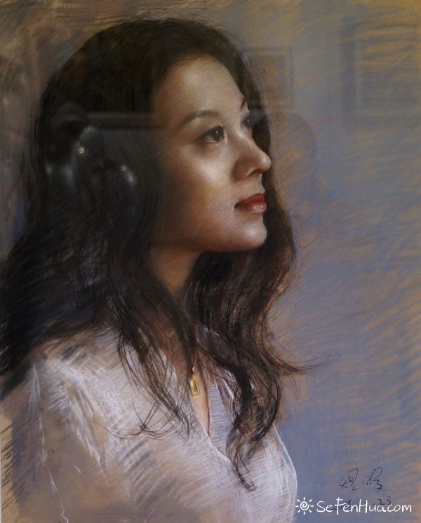 色粉画展 2014上海粉画年度展作品